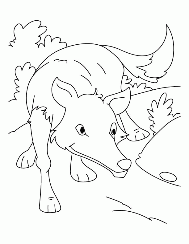 Wolf ready to hunt coloring pages | Download Free Wolf ready