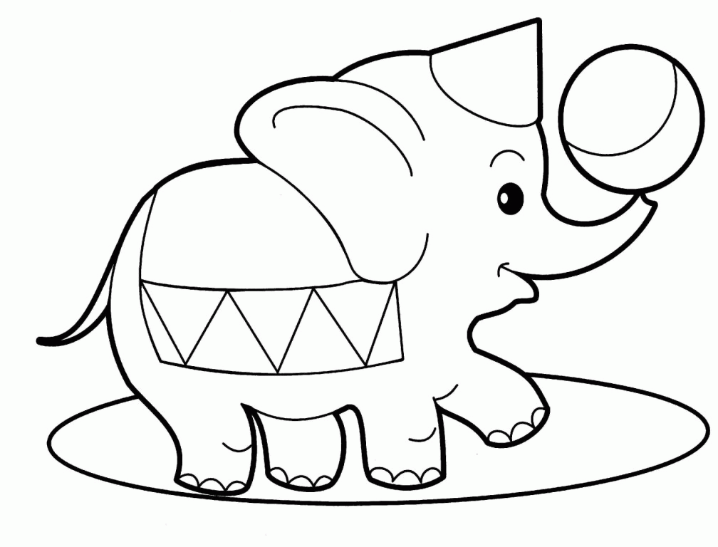 Elephant Picture For Kids
