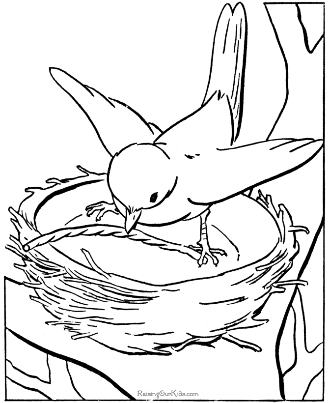 Free Bird Nest Coloring Page, Download Free Bird Nest Coloring Page png
