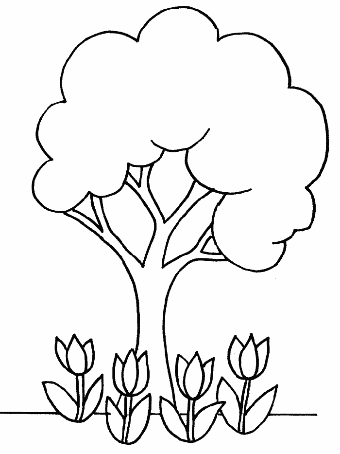 tree coloring page  clip art library