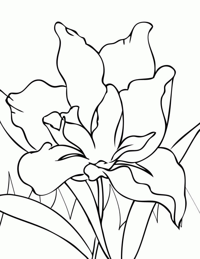 Congratulations To Sheri Biesinger Her Year Old Coloring Page Was