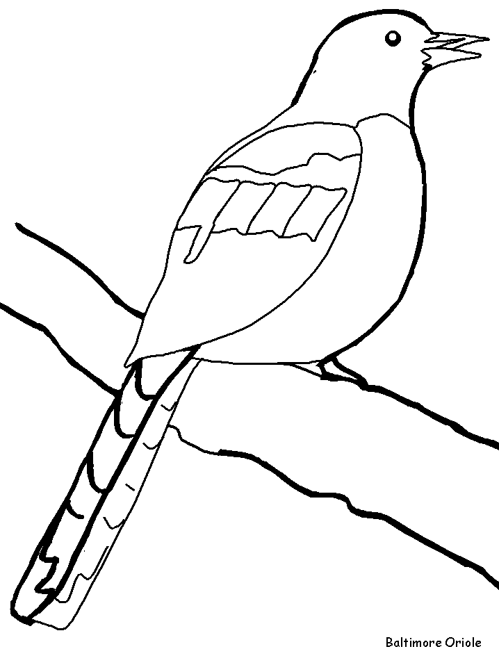 Bird Oriol Colouring Pages