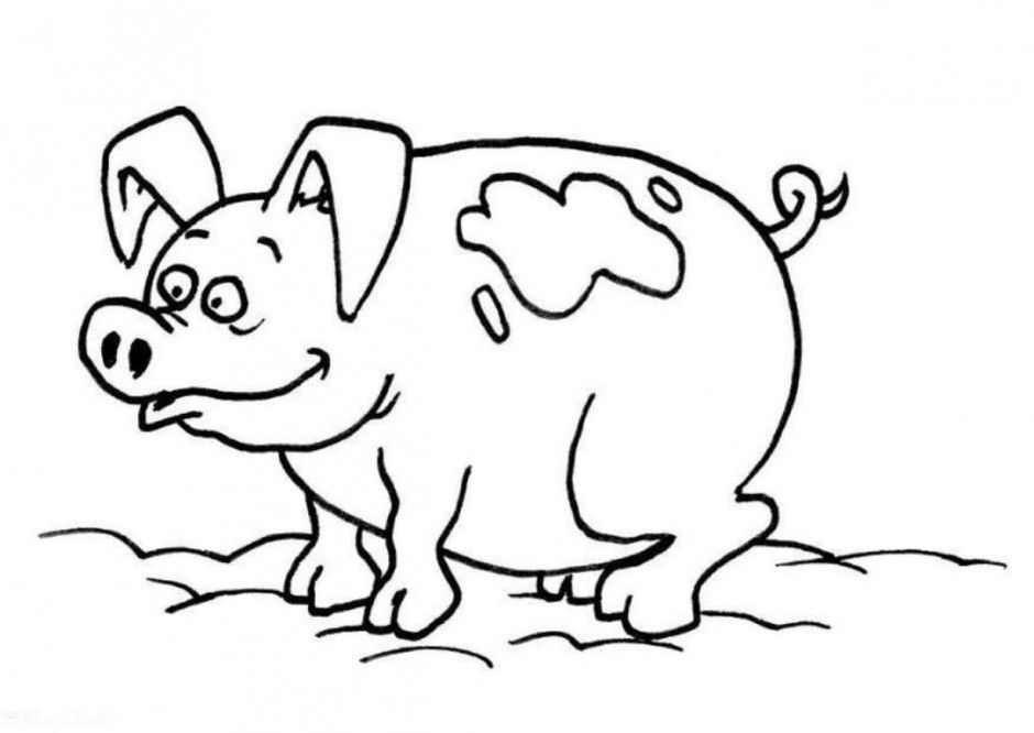 Easy Pig Animal Coloring Page For Kids Pig Coloring