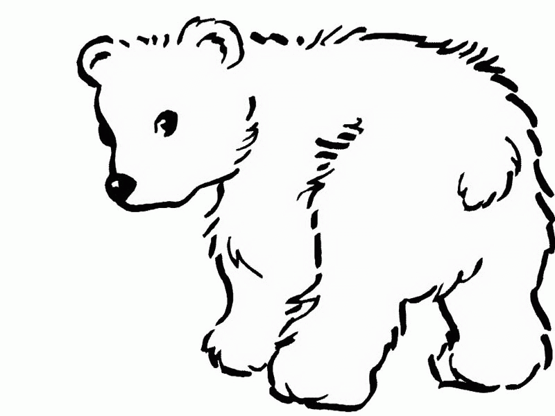 Cute Polar Bear Coloring Page: Cute Polar Bear Coloring Page