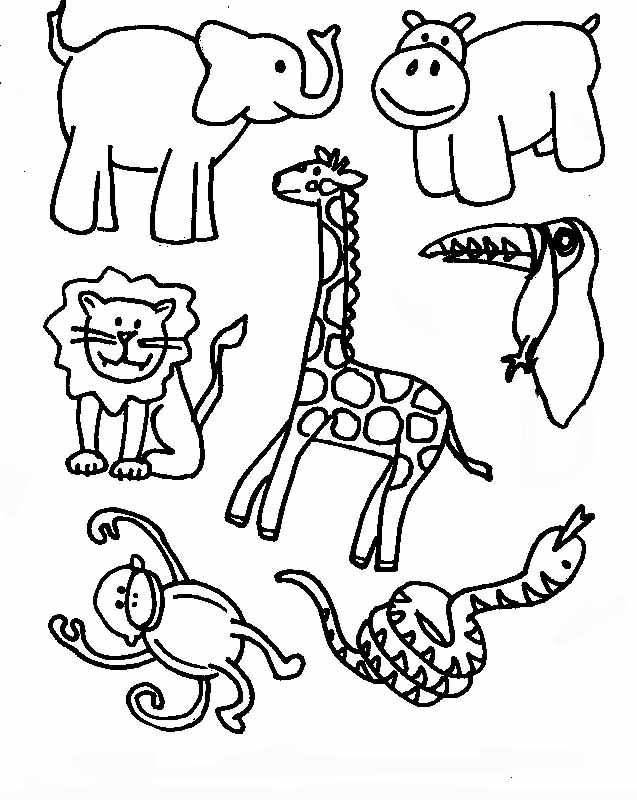 Tropical Rainforest Coloring Page | Free Printable Coloring Pages