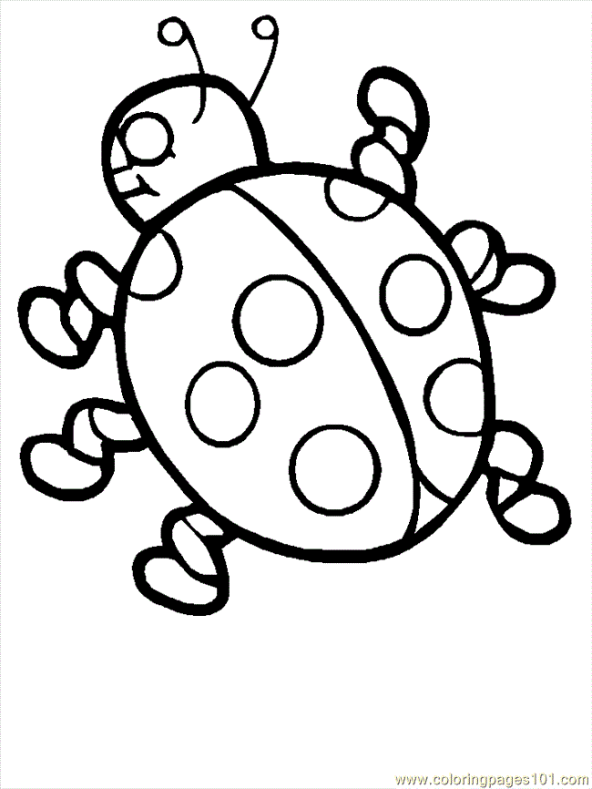 Coloring Pages ladybugs (Insects  ladybugs) | free printable