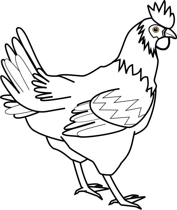 chicken drawings Colouring Pages