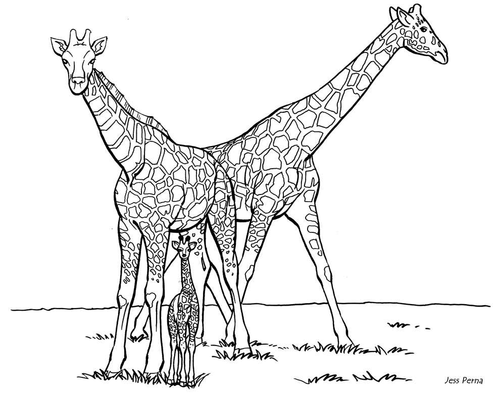 mom and baby giraffe coloring pages