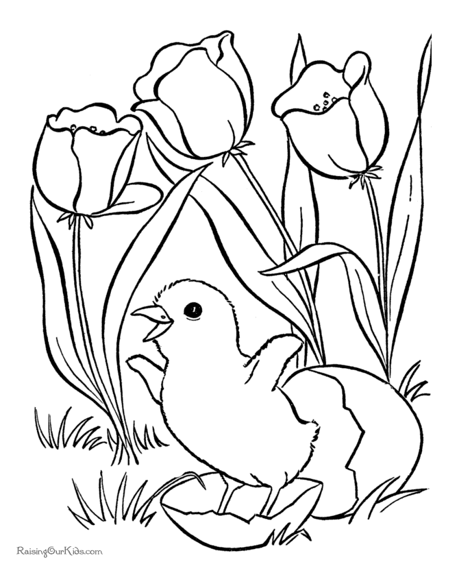 tulip Flower baby chicken Coloring Pages |Free coloring on Clipart Library