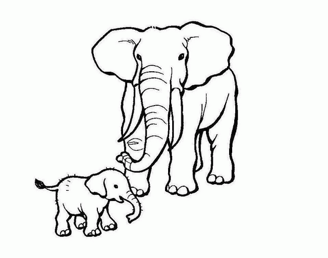 Colour Drawing Free Wallpaper: Elephant Mom Baby Coloring Drawing