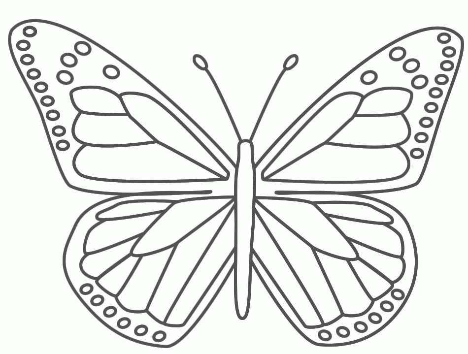 caterpillar and butterfly coloring page