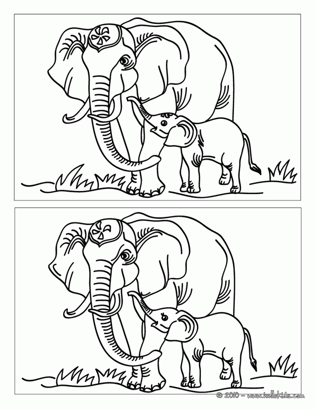 Elephant : Coloring pages, Drawing for Kids, Reading and Learning