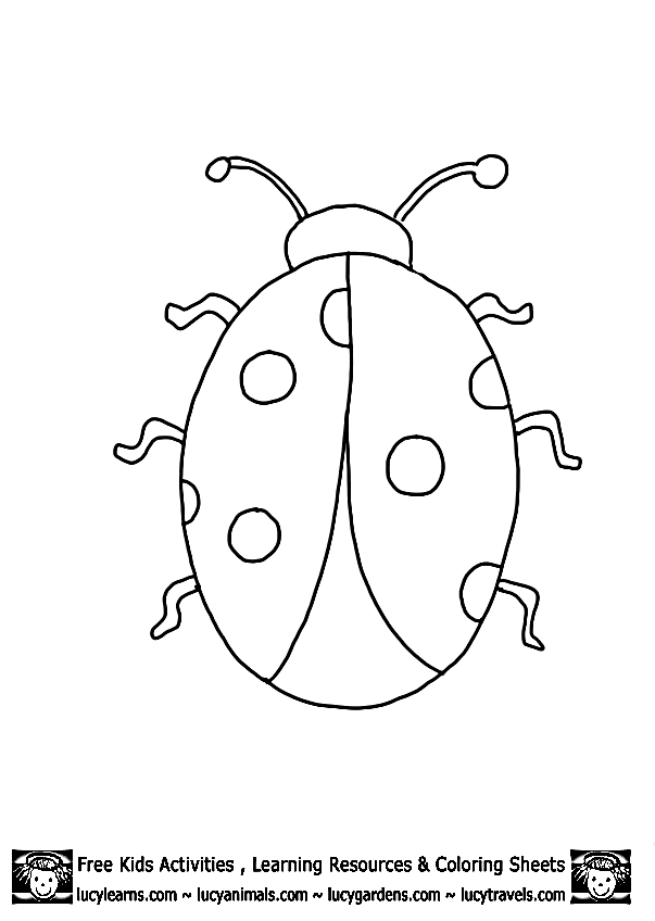 Ladybug Outline Template Printables | early childhood templates