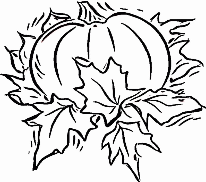 Free Blank Pumpkin Template Download Free Blank Pumpkin Template Png 