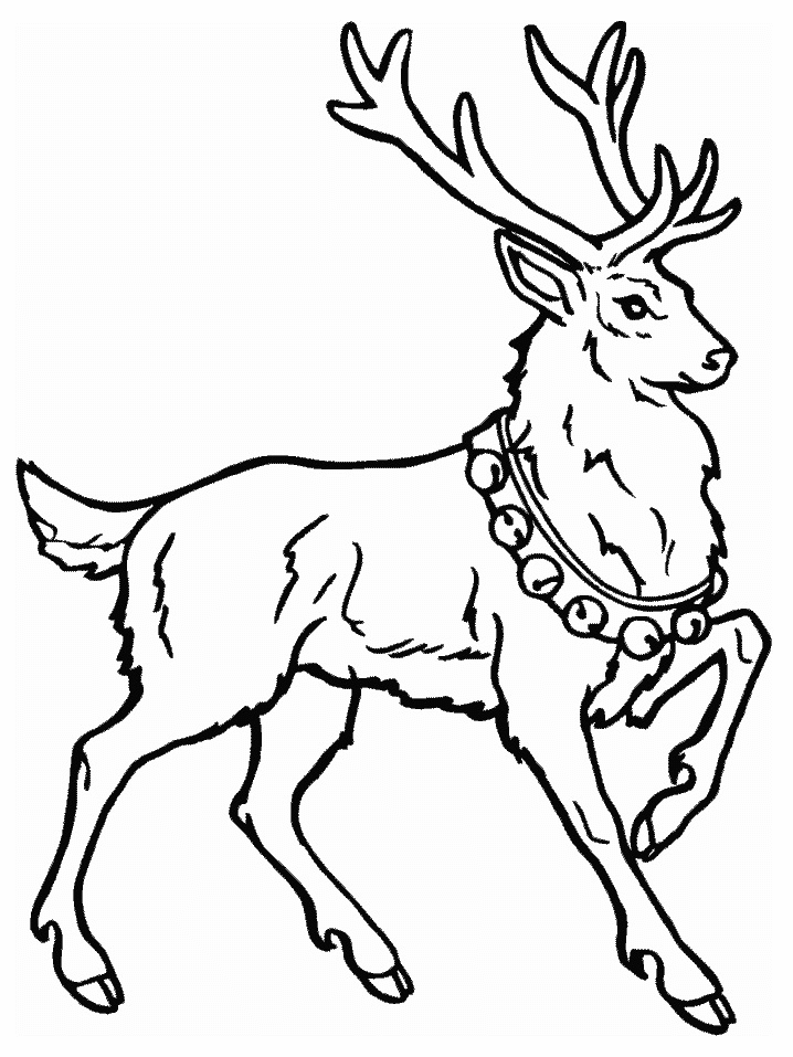 Coloring Page - Deer coloring Page