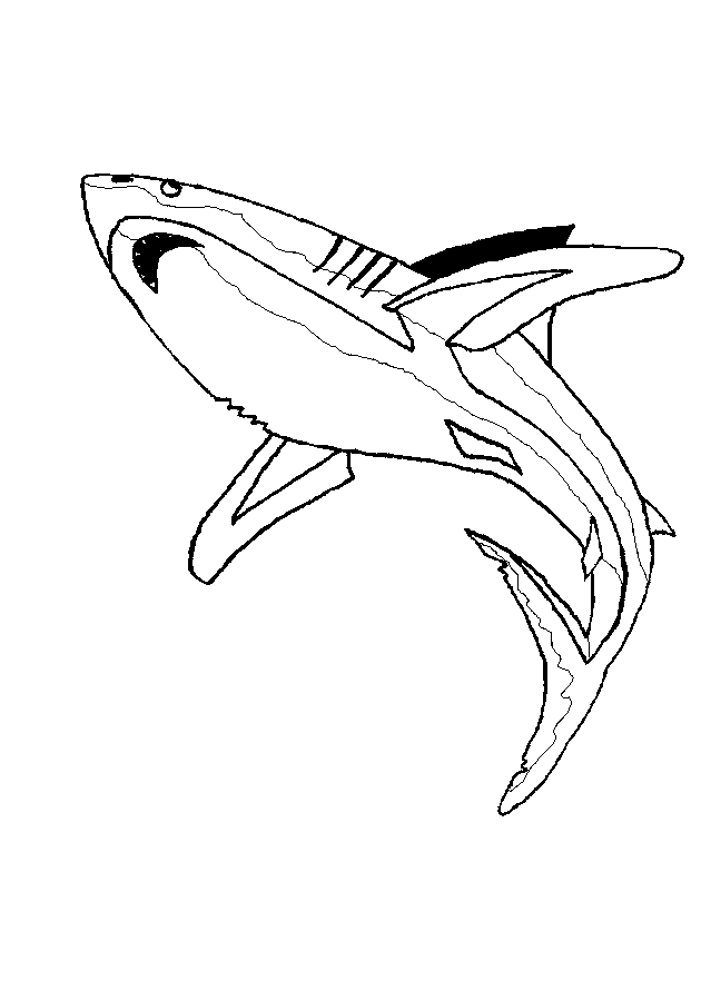 Sharks | Coloring pages