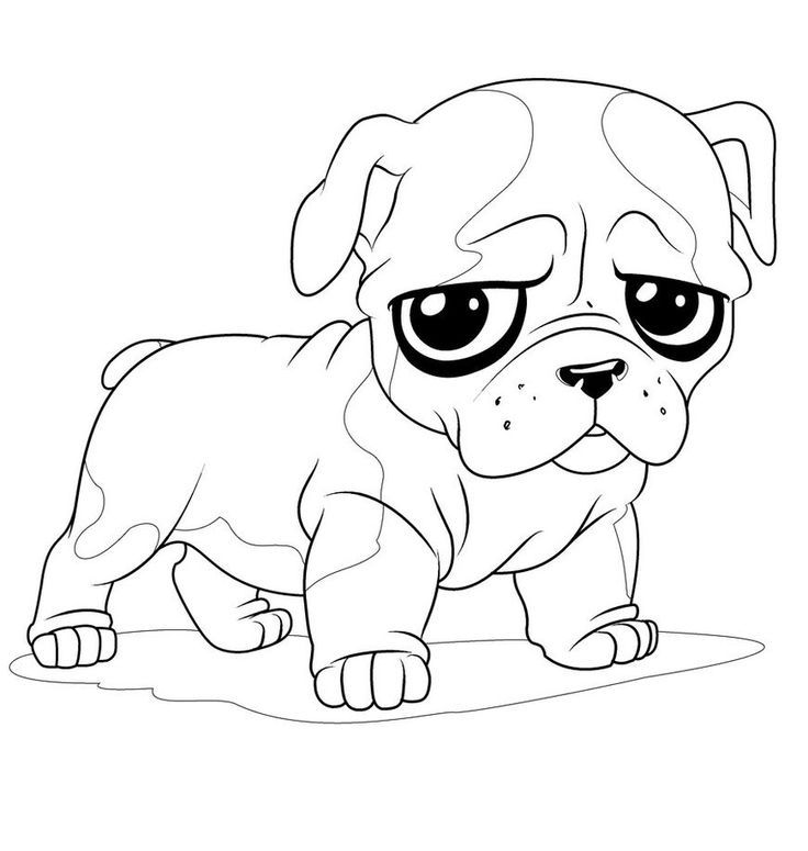 Free Pug Dog Coloring Pages, Download Free Pug Dog Coloring Pages png