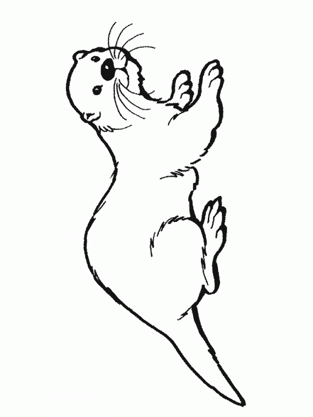 Sea Otter| Coloring Pages for Kids Otter Coloring Page