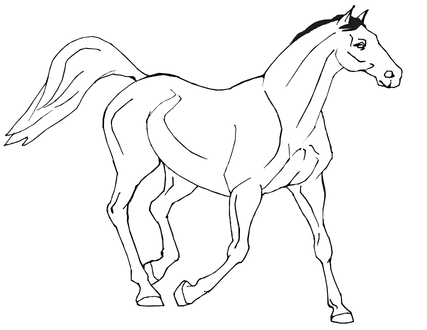 free-race-horse-coloring-pages-download-free-race-horse-coloring-pages