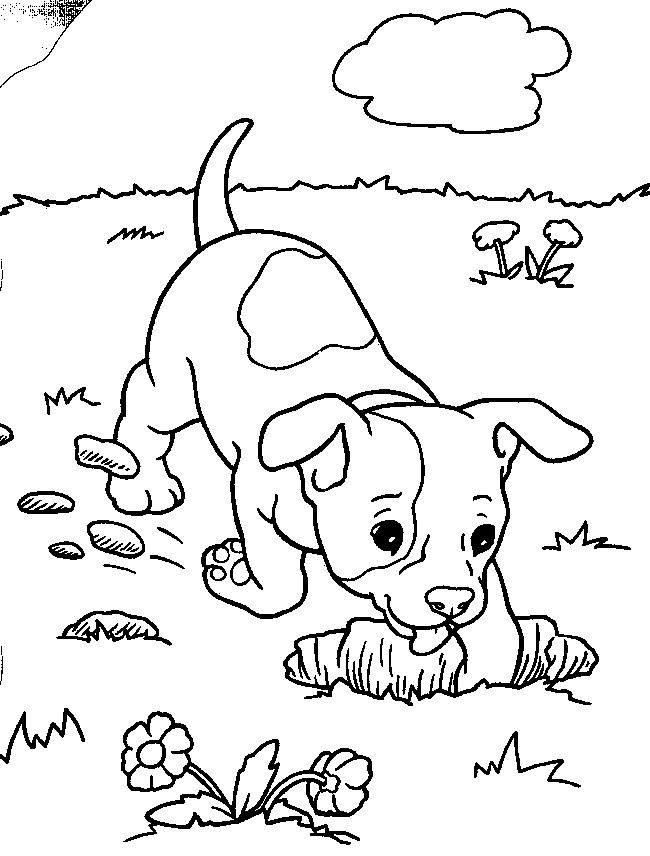 Dogs and Puppies Coloring 