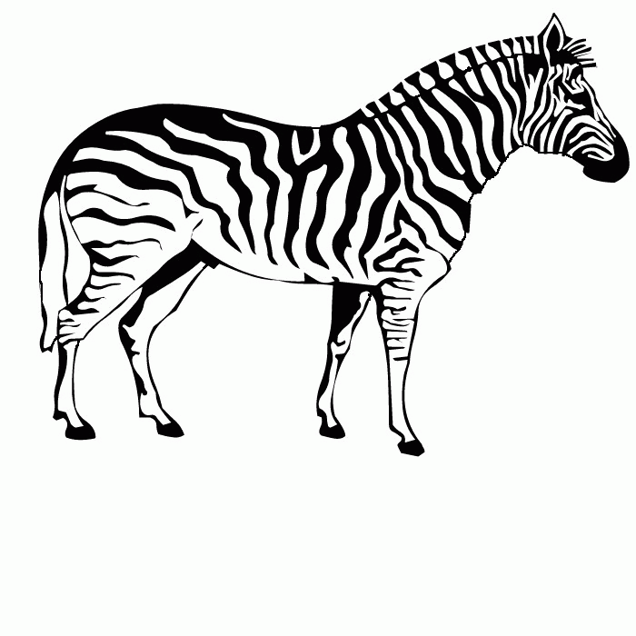 Free Printable Zebra 