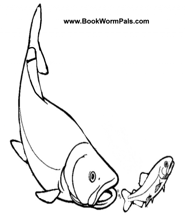 Bass Fish Coloring Pages | Clipart library - Free Clipart Images