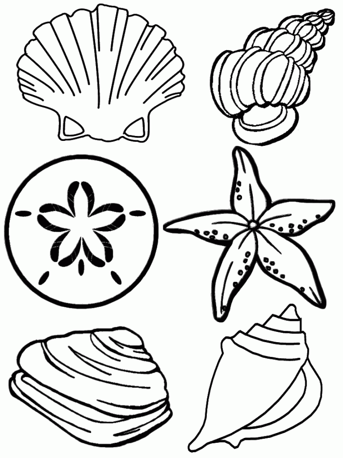 Free Coloring Pages Of Seashells, Download Free Coloring Pages Of