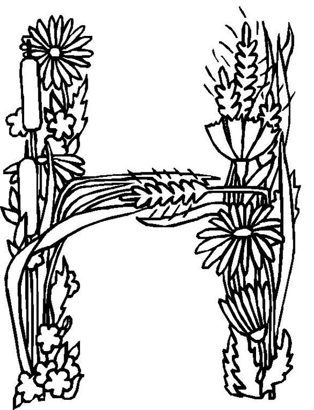Alphabet Flower H Coloring Pages | Free Printable Coloring Pages