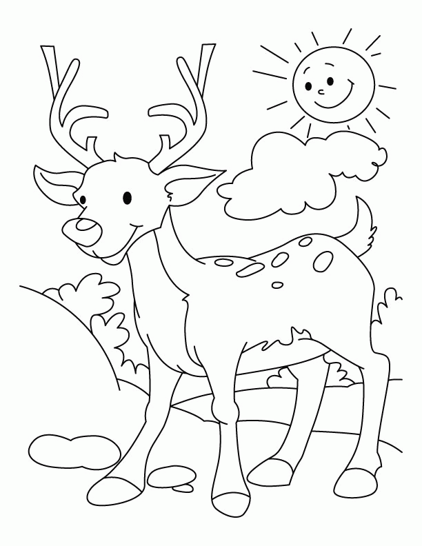Deer Hunting| Coloring Pages for Kids Images  Pictures 