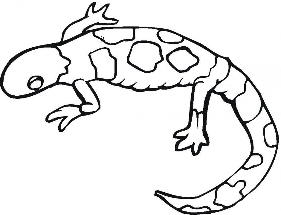 Free Leopard Gecko Coloring Pages