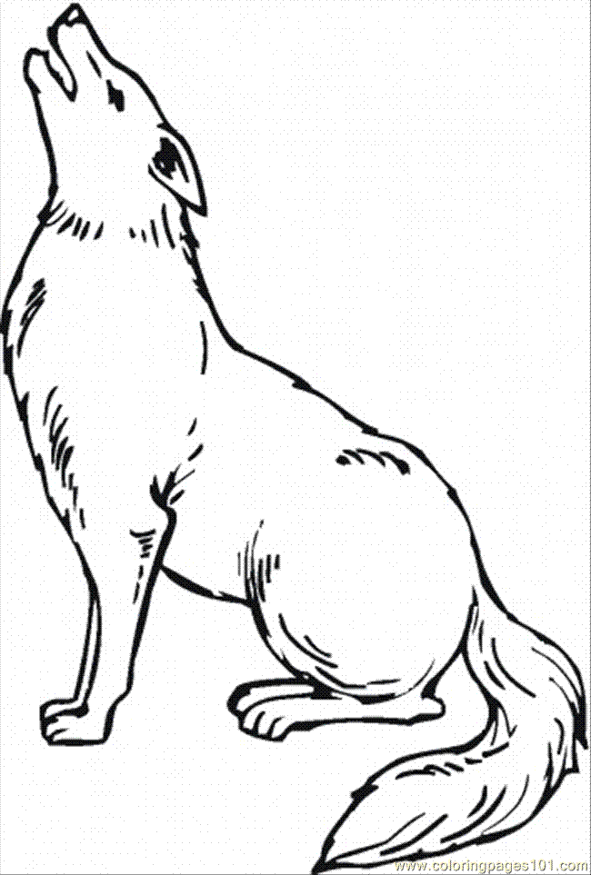 coyote cartoon Colouring Pages