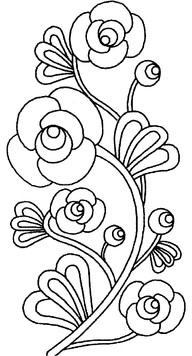Floral line drawings 