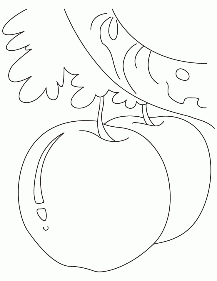 Apple Coloring Picture for kids | Download Free Apple Coloring