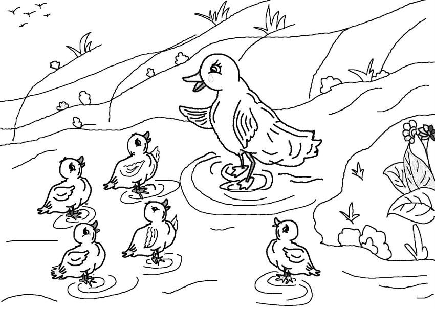 the ugly duckling Colouring Pages