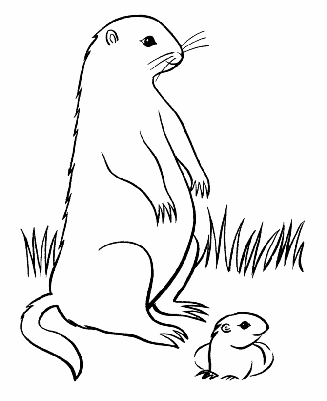 groundhog day coloring pages | Coloring Picture HD For Kids