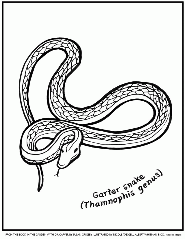 Snake Coloring Snake| Coloring Pages for Kids Coloring Pages