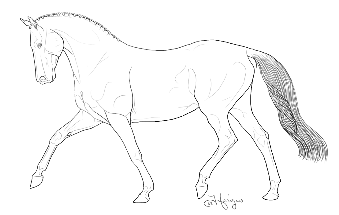 Free Breyer Coloring Pages, Download Free Breyer Coloring Pages Png