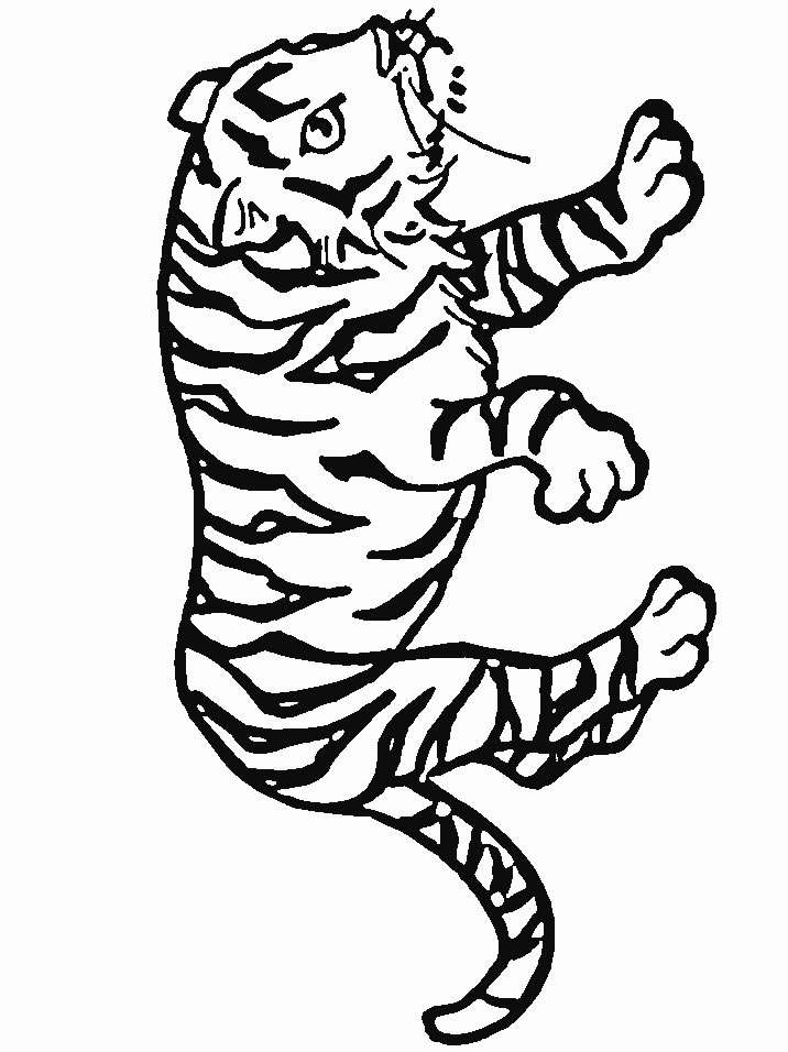 Free Pictures Of Tigers To Color, Download Free Pictures Of Tigers To