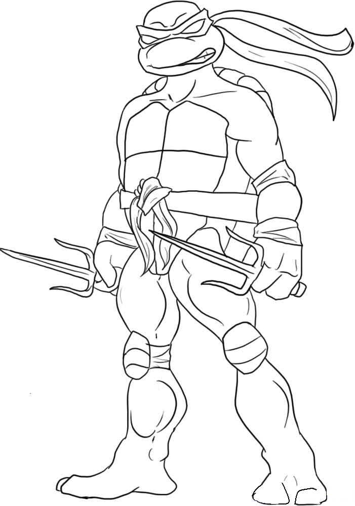 Ninja Turtles Coloring Page  Coloring picture animal