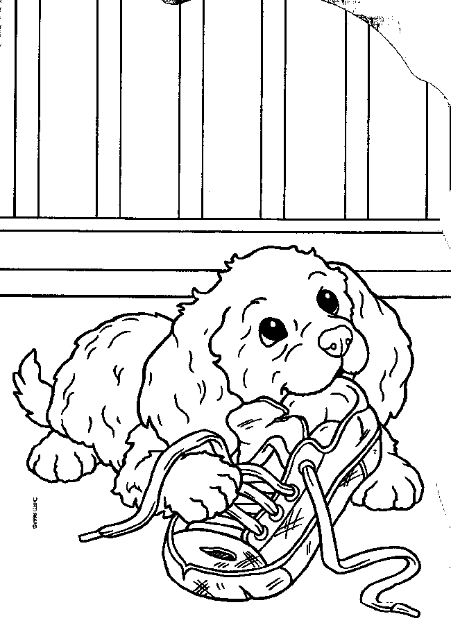 and puppies Colouring Pages