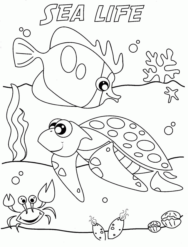 Free Sea Life Coloring Page Download Free Clip Art Free Clip Art On Clipart Library