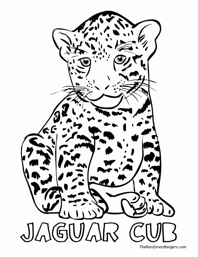 Free Jaguar Coloring Page, Download Free Clip Art, Free ...