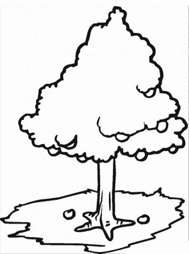 Pictures Apple Tree Without Leaves Coloring Pages - Tree Coloring