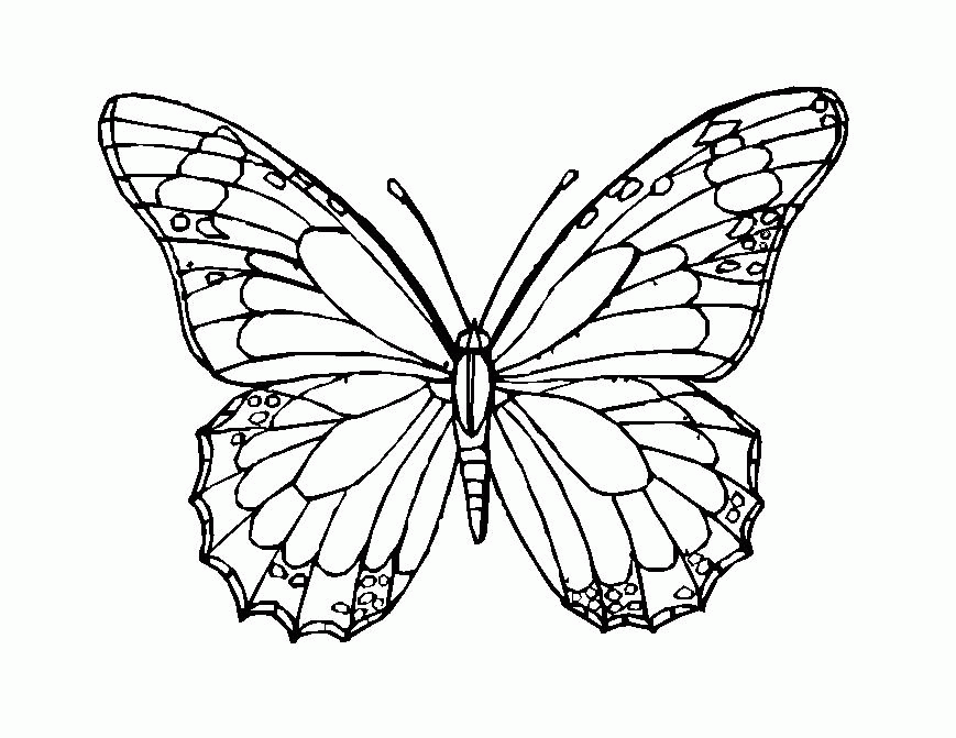 Insects Coloring book Pages for kids