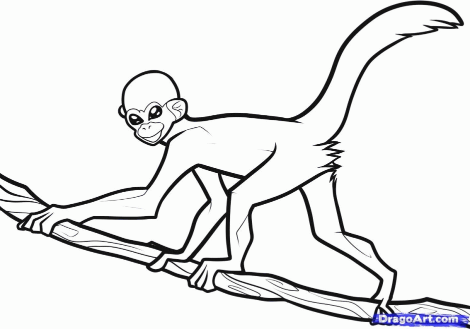 Spider Monkey| Coloring Pages for Kids Printable Coloring Sheet