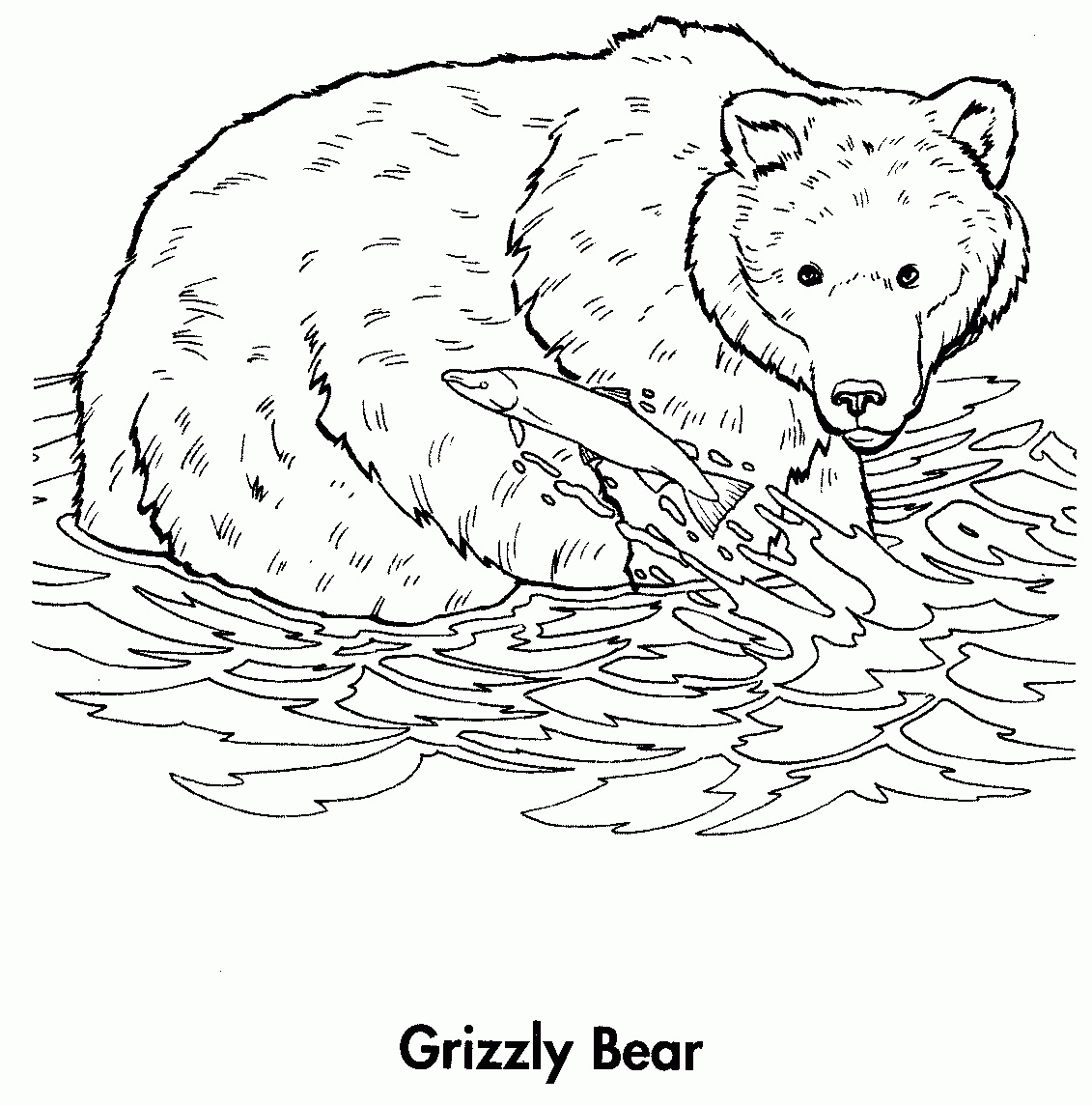 Line Art Clip Art Library