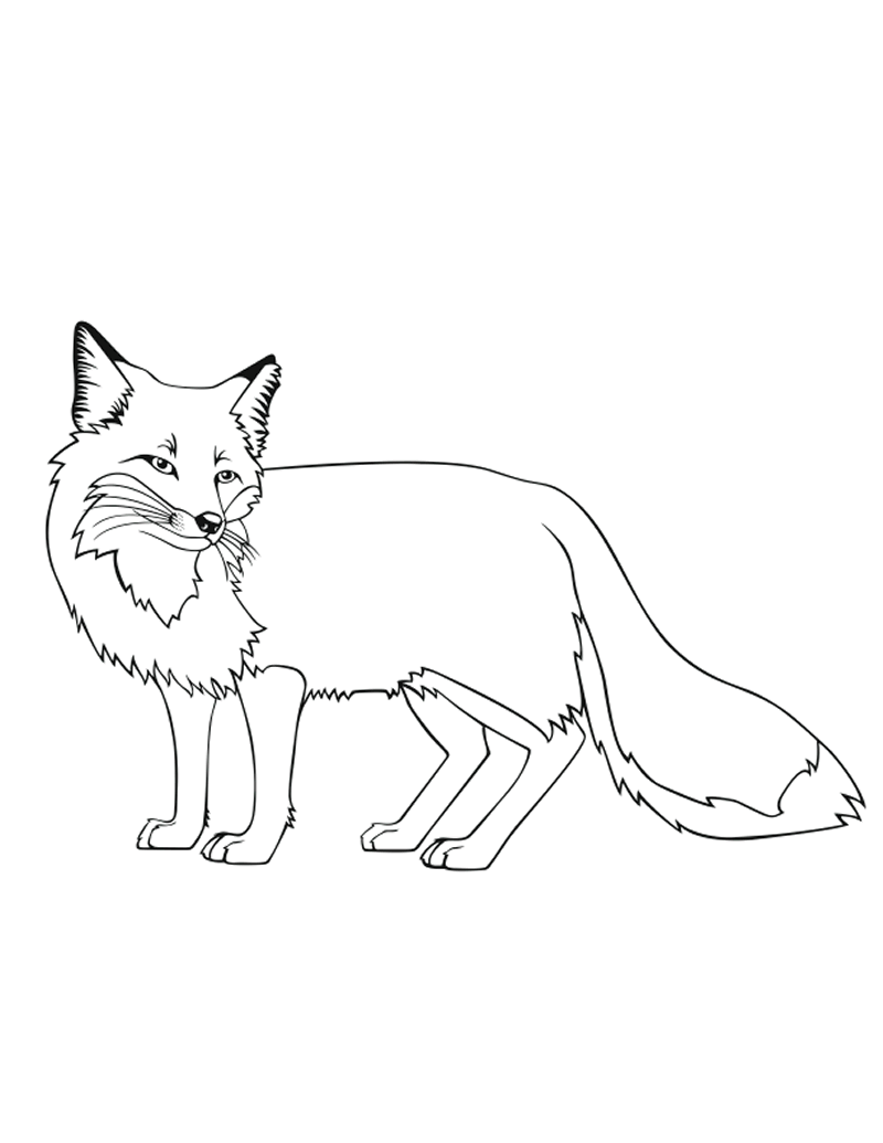 print-and-coloring-pages-fox-fox-coloring-page-animal-coloring-pages