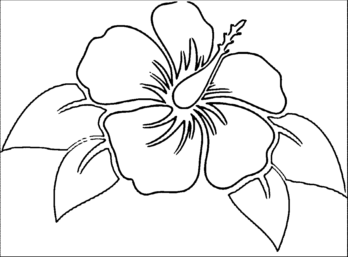 Hibiscus flower 0 Coloring Page