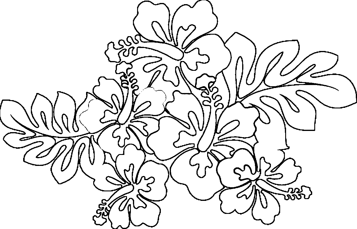 Free Coloring Pages Of Hawaiian Flowers Download Free Coloring Pages Of Hawaiian Flowers Png Images Free Cliparts On Clipart Library