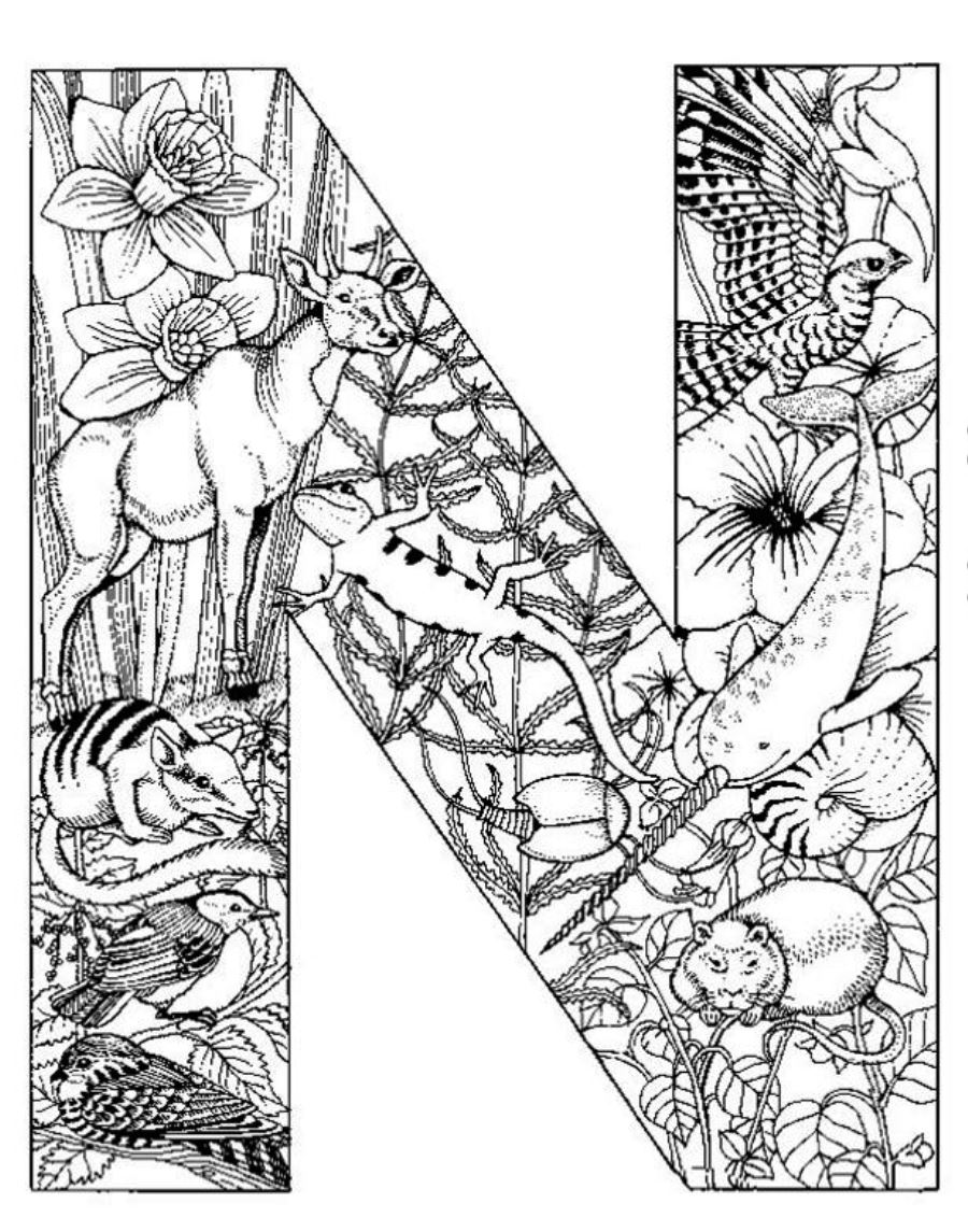 free-intricate-coloring-pages-free-printable-download-free-intricate